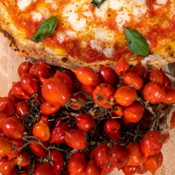 foto il mio viaggio a napoli-10