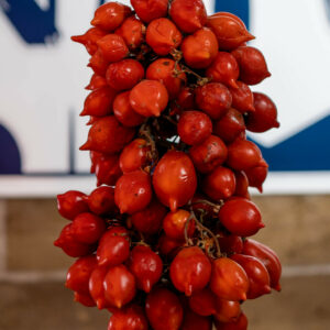 foto il mio viaggio a napoli-9